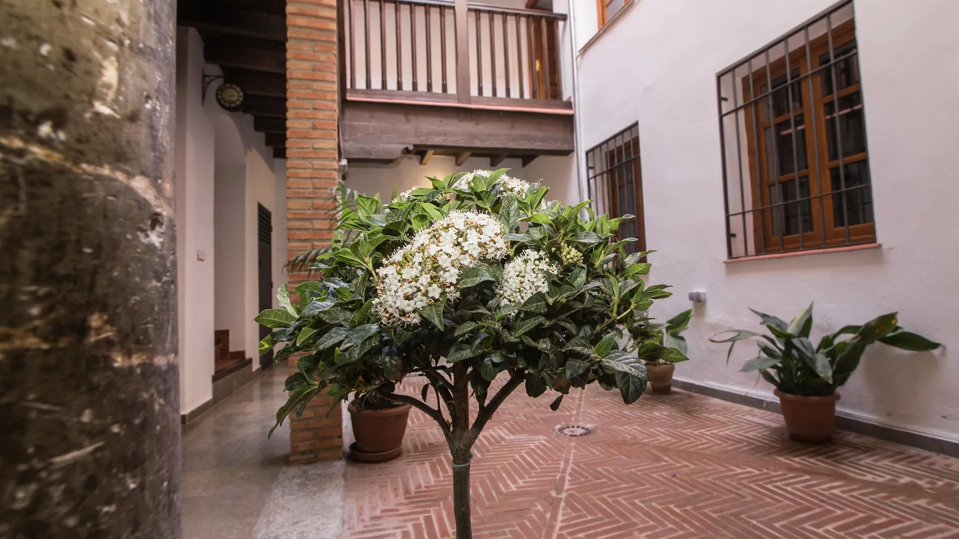 Apartamentos Nahira Suites 3000 Granada Appartement